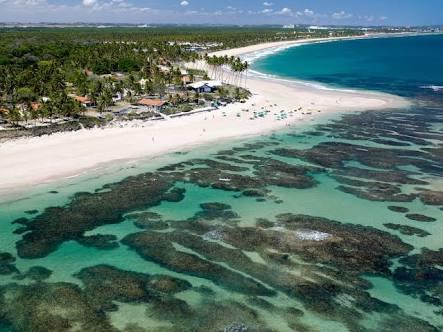 Palm Village - O Melhor De Cupe E Porto Porto de Galinhas Luaran gambar