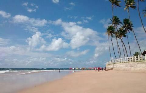 Palm Village - O Melhor De Cupe E Porto Porto de Galinhas Luaran gambar