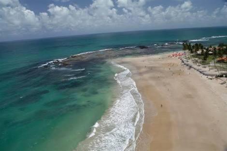 Palm Village - O Melhor De Cupe E Porto Porto de Galinhas Luaran gambar